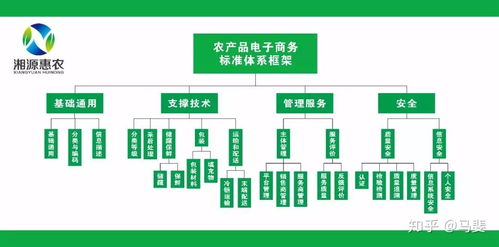 構(gòu)建智能引領(lǐng)的農(nóng)產(chǎn)品電商標(biāo)準(zhǔn)體系 標(biāo)準(zhǔn)化、系統(tǒng)化與工程化路徑