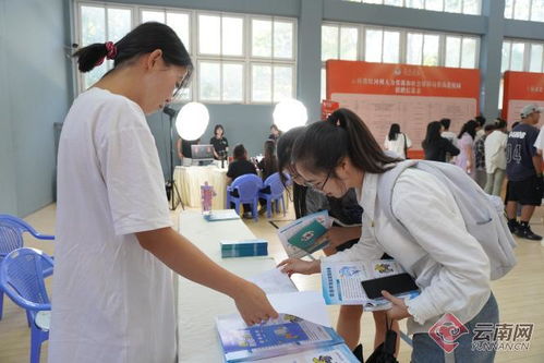 蒙自市扎實開展民營企業服務月系列活動，助力社會經濟發展